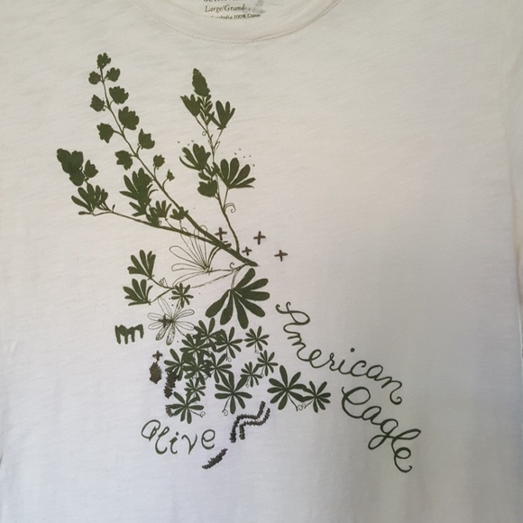 AE tee - Picture 2 of 5